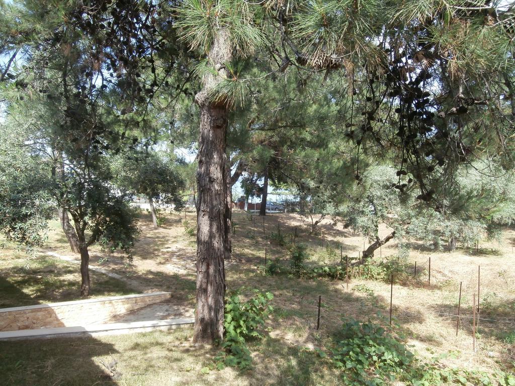 Villa Barouti Kinira Exterior foto